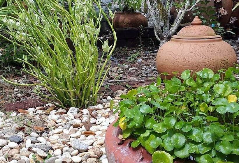 Отель Rimpu Hill Resort