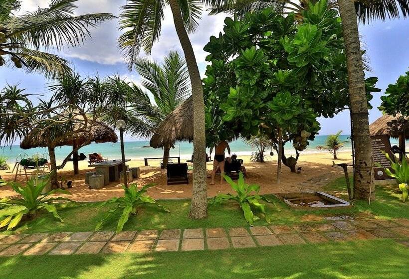 Отель Sea Rock Villa