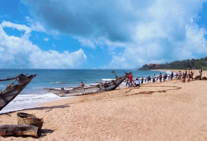 Отель Sea Rock Villa