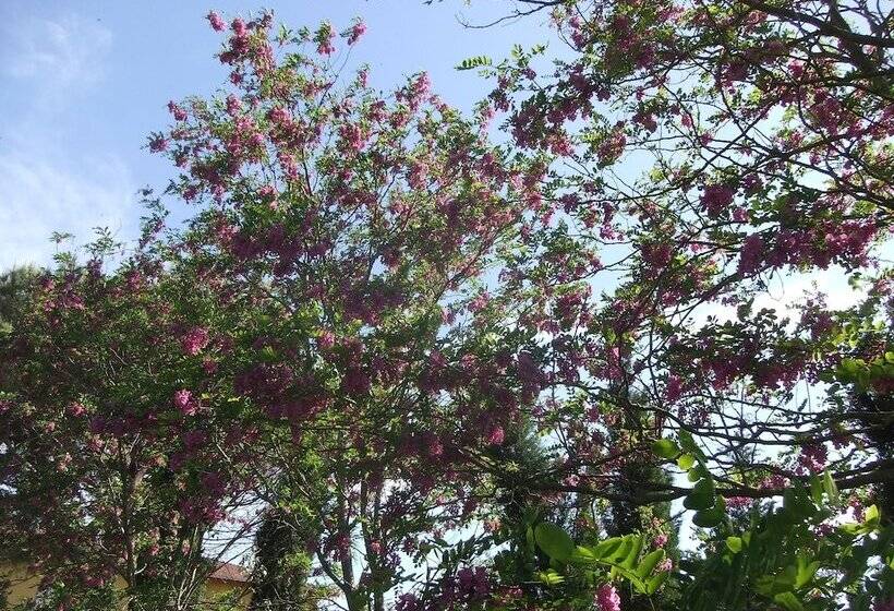 Отель Tenuta Le Colonie