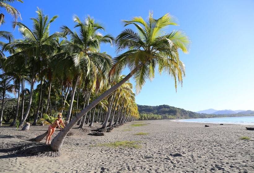 בית מלון כפרי The Hideaway