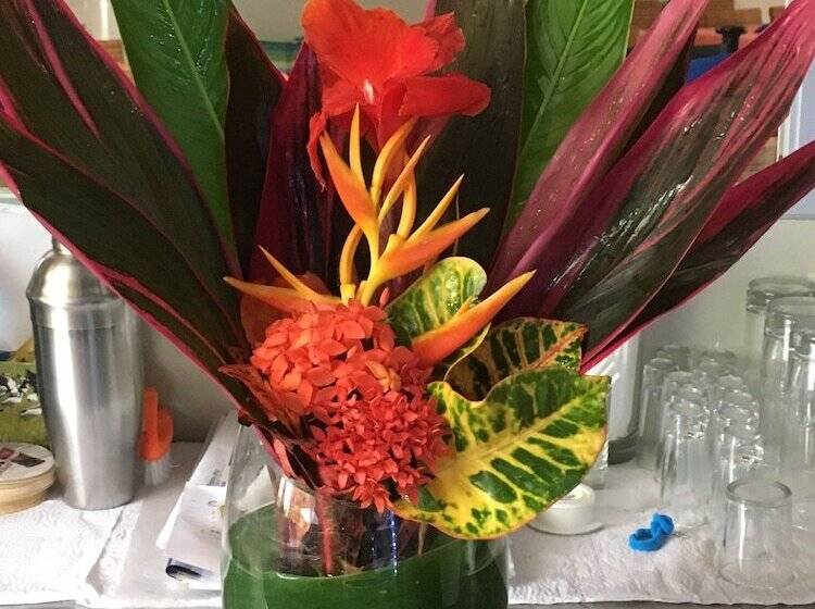 בית מלון כפרי The Hideaway