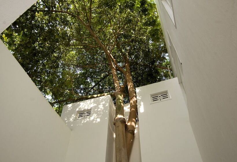 La Casa Del Piano Hotel Boutique By Xarm Hotels