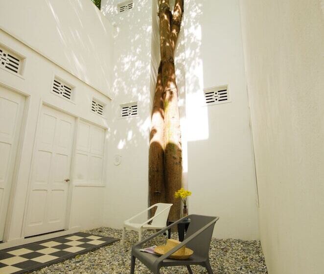 La Casa Del Piano Hotel Boutique By Xarm Hotels