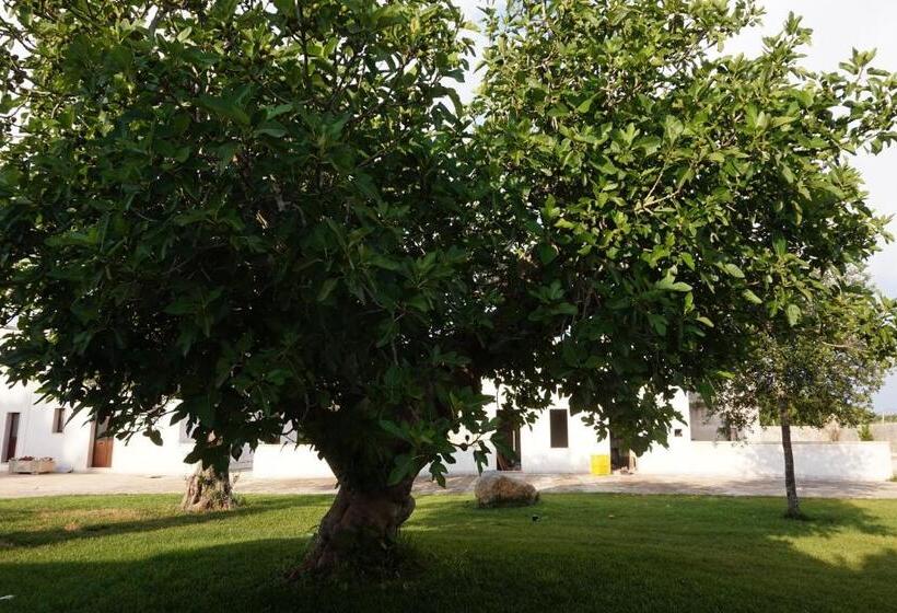 Masseria Pappo