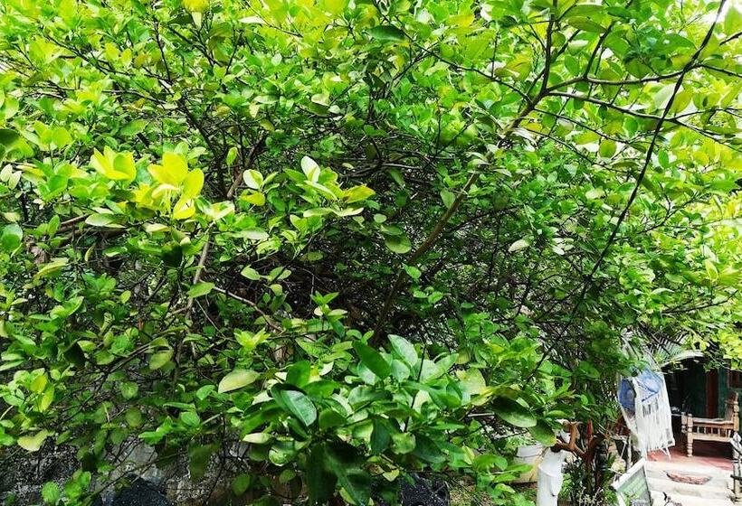 펜션 Blue Sky Guest House