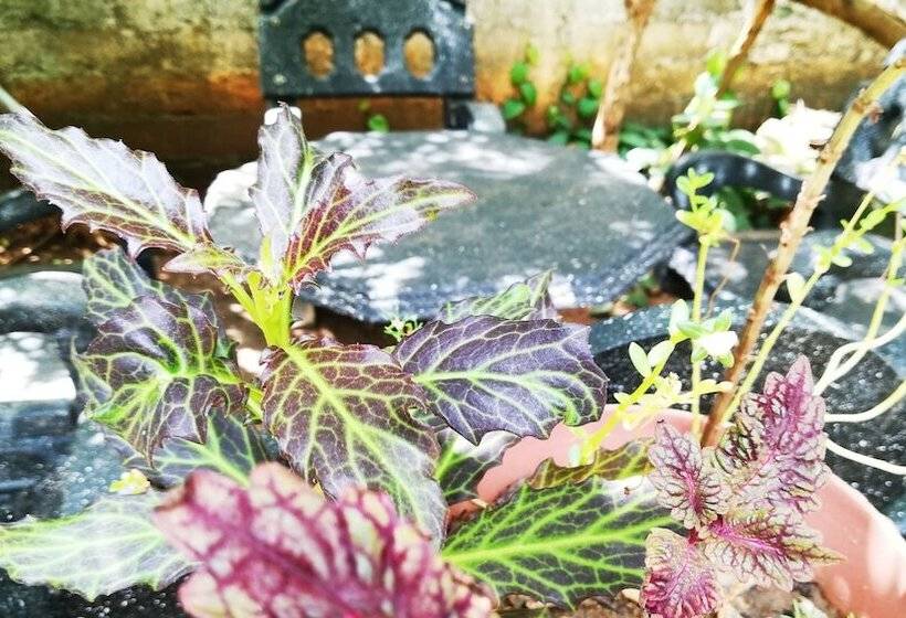 펜션 Blue Sky Guest House