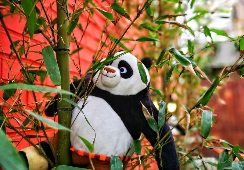 Pensão Hi There Design Guesthouse