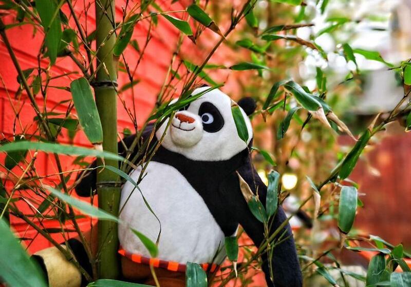 Pensão Hi There Design Guesthouse