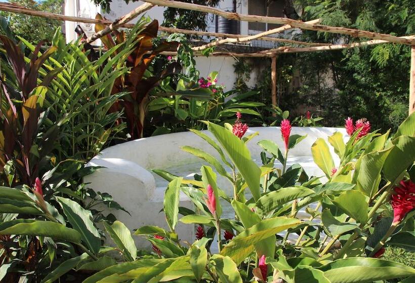 膳宿费 Hiliki House