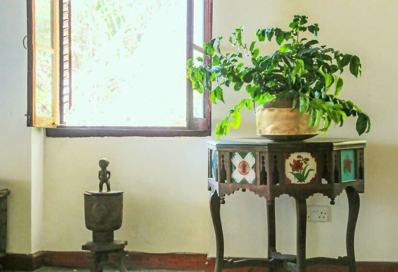 膳宿费 Hiliki House