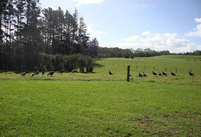 پانسیون Oasis