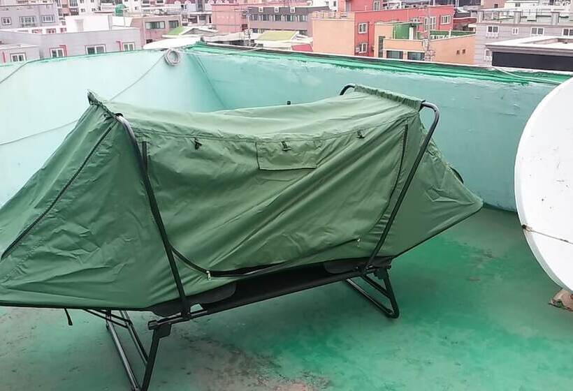 פנסיון Oxbloodk