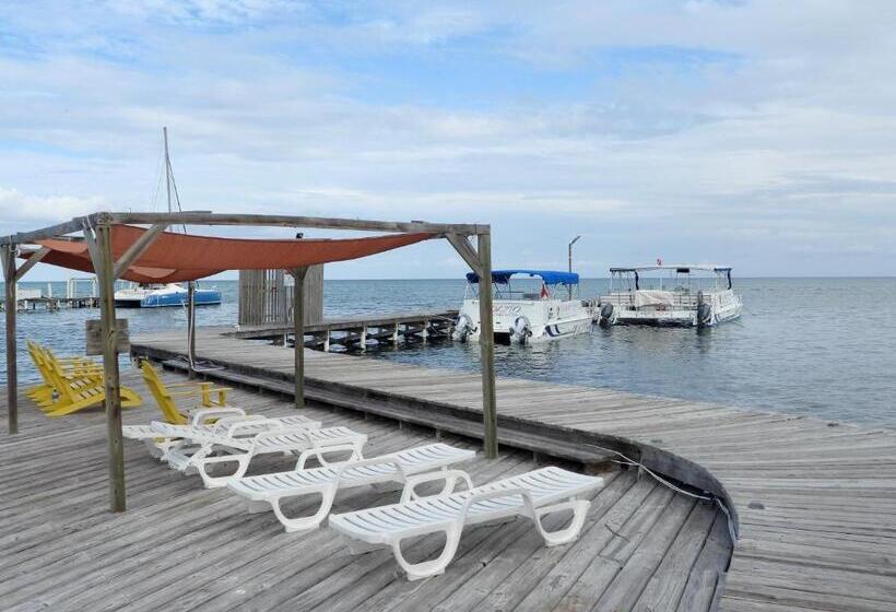 Sandbar Beachfront Hostel & Restaurant