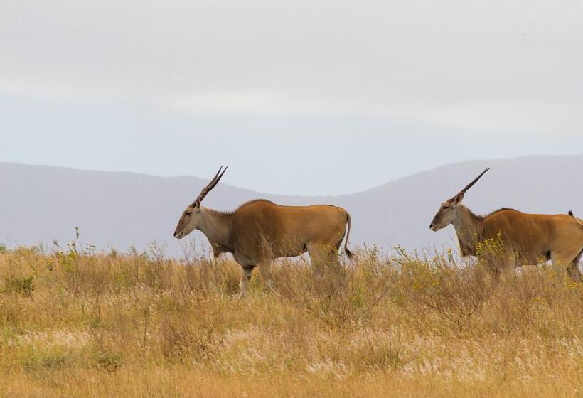 Stonehill River Lodge