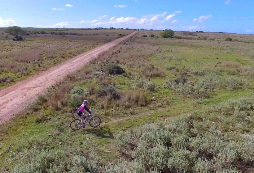 Stonehill River Lodge