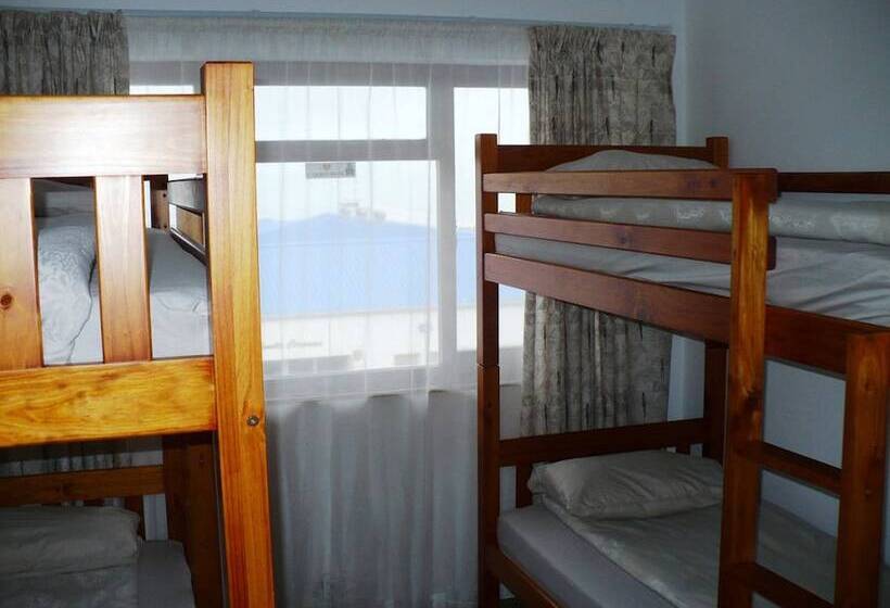 旅馆 Backpacker Apartments