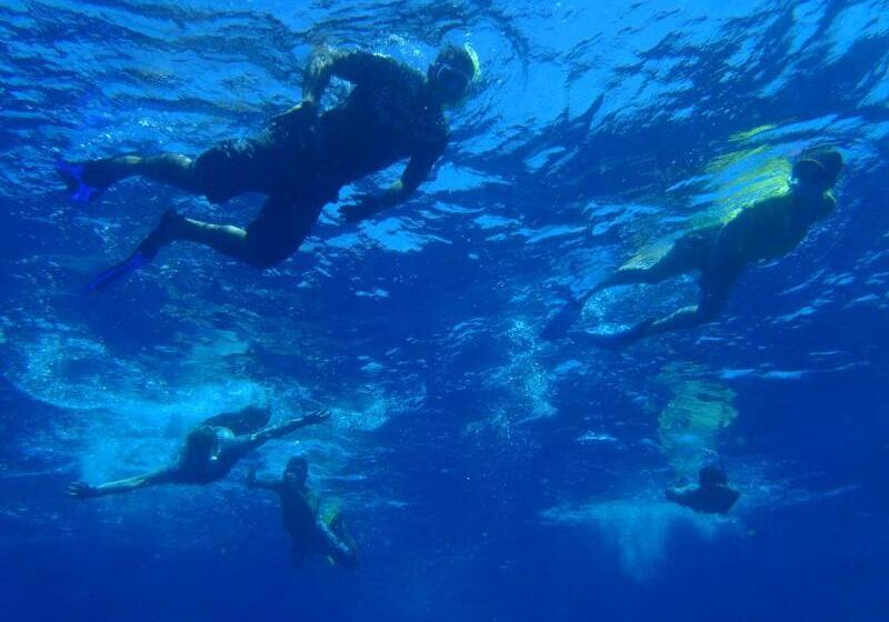 Hostel Maravu Taveuni Lodge