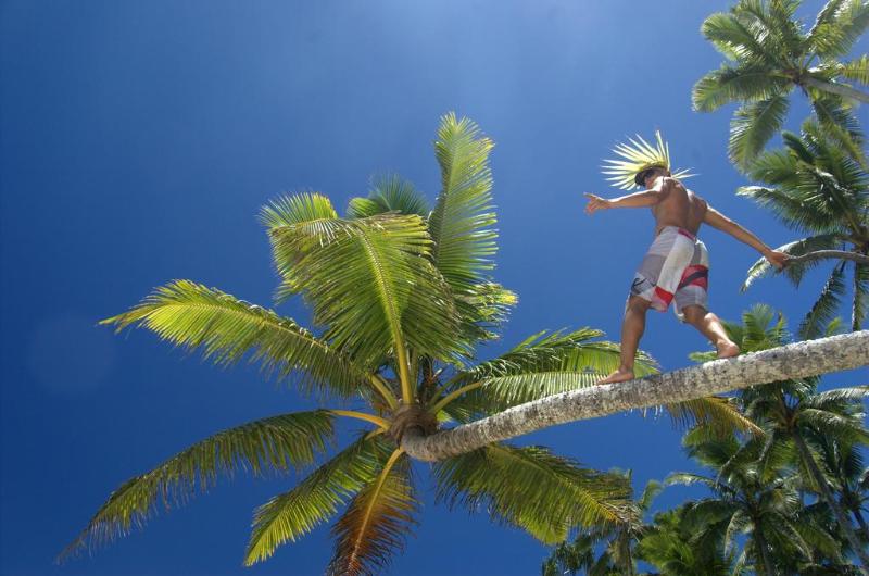 هاستل Maravu Taveuni Lodge