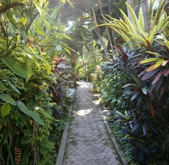 צימר Adus Beach Inn