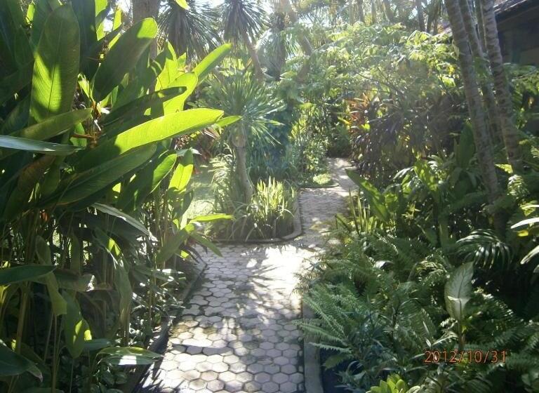 צימר Adus Beach Inn