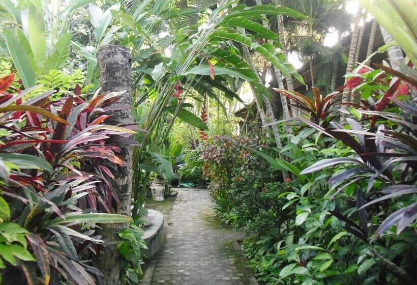 צימר Adus Beach Inn