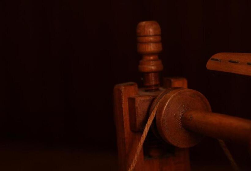 Bed and Breakfast Bologna Center Town