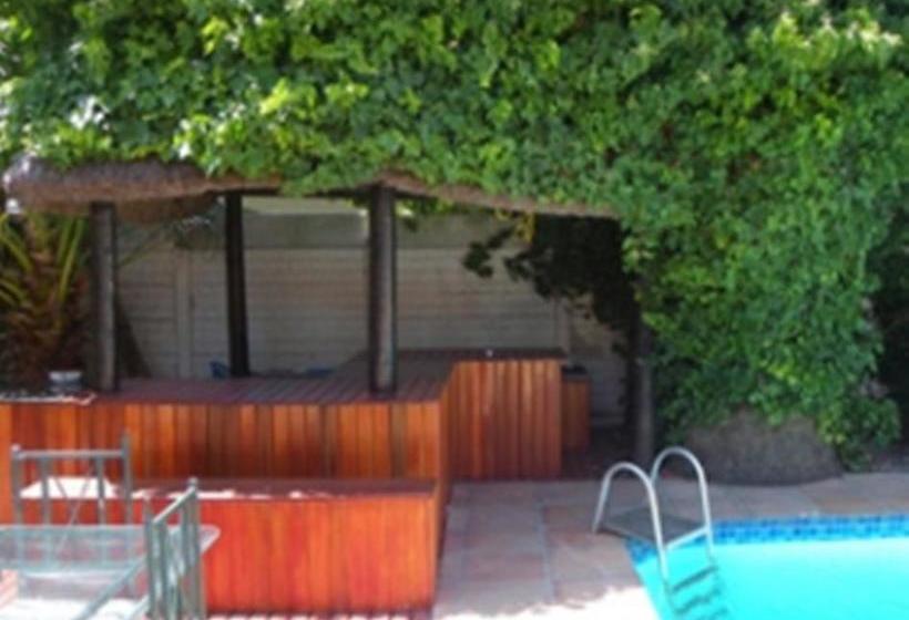 Bed and Breakfast Cape Town Palms