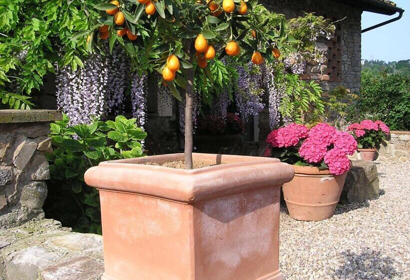 민박 Il Poggiolo Delle Rose Bed&breakfast