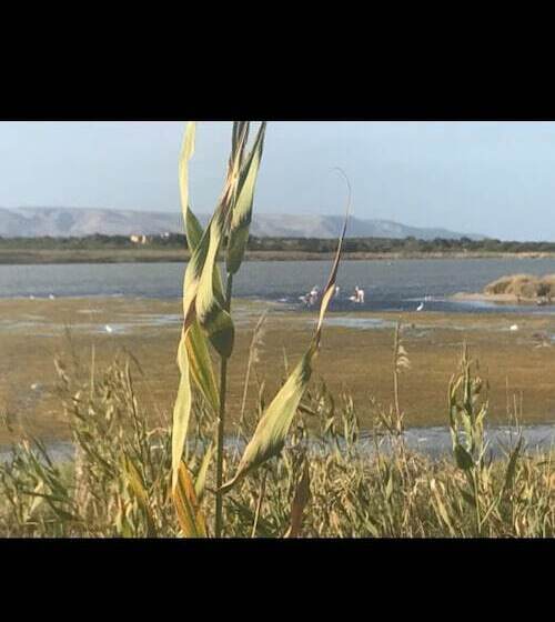 Bed and Breakfast Nonna Nina