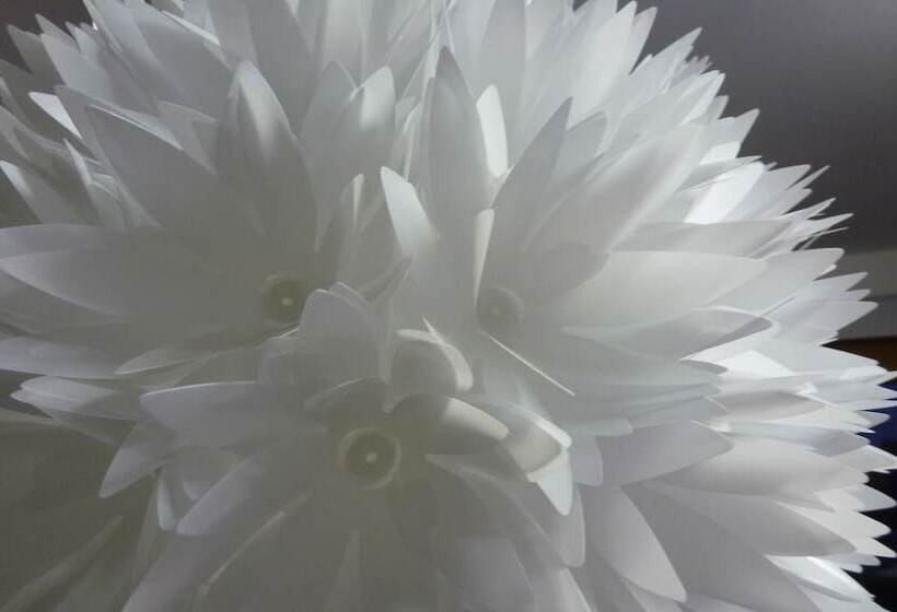 تختخواب و صبحانه The Retreat At Froog Moore Park