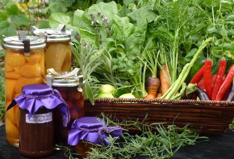 تختخواب و صبحانه The Retreat At Froog Moore Park