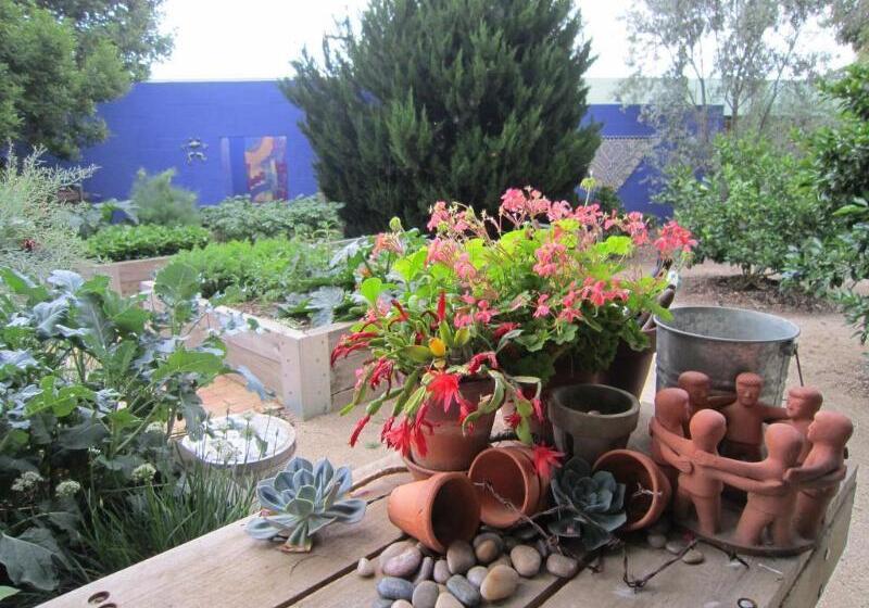 צימר The Retreat At Froog Moore Park