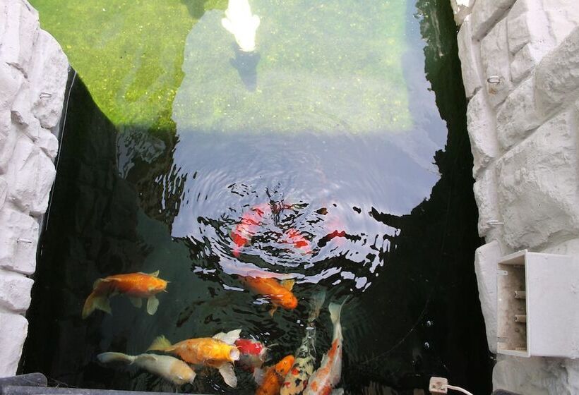 Отель Africa Paradise