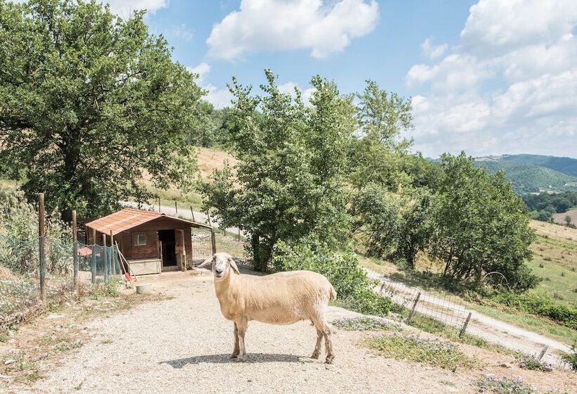 Отель Agriturismo Goccia Di Luna