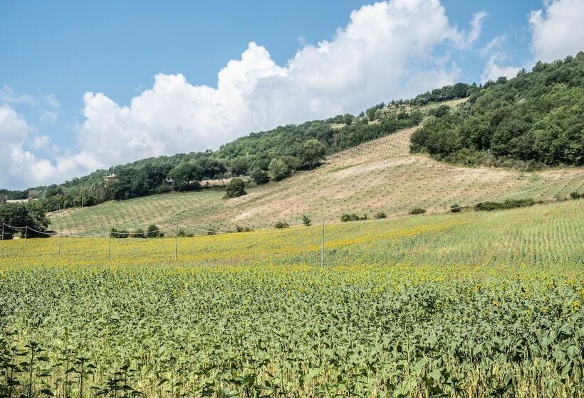 Отель Agriturismo Goccia Di Luna