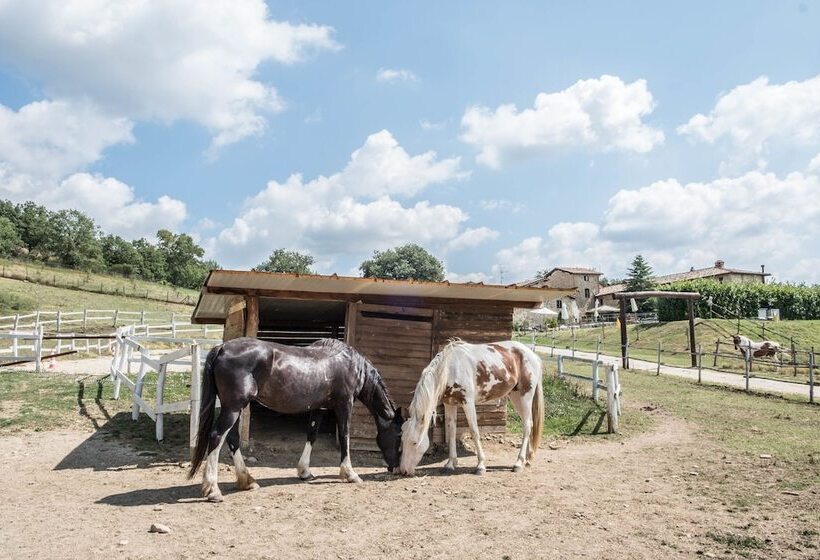 Отель Agriturismo Goccia Di Luna