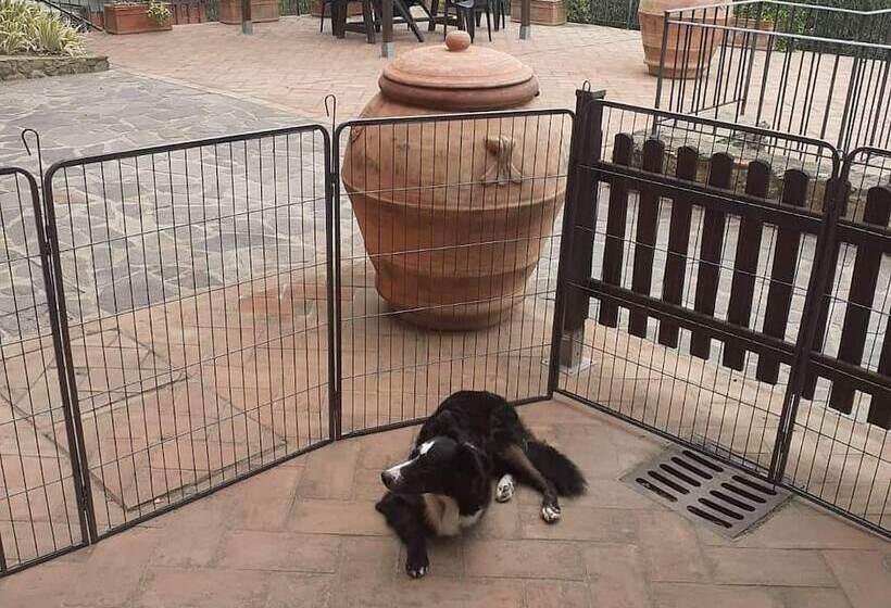 בית מלון כפרי Agriturismo Tenuta Cantagallo