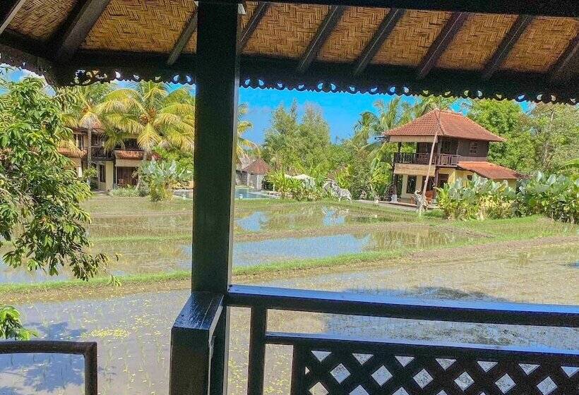 בית מלון כפרי Atres Villa