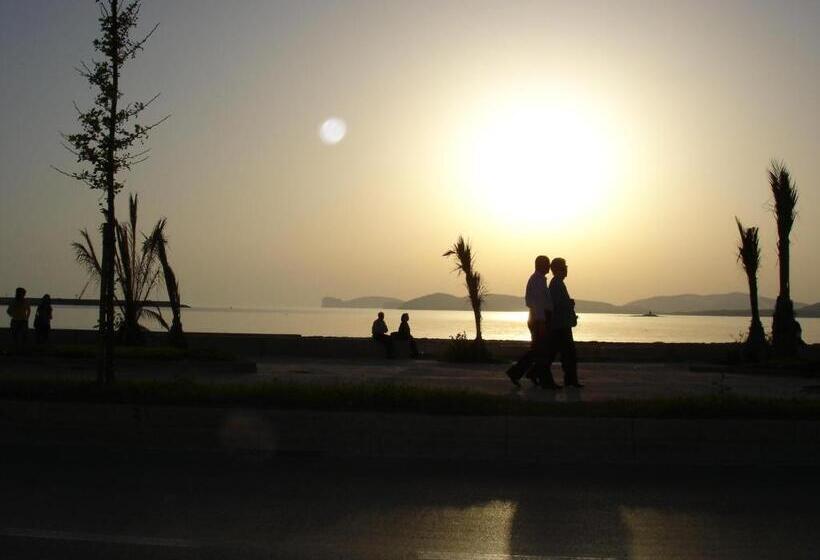 Отель Butterfly Accommodation