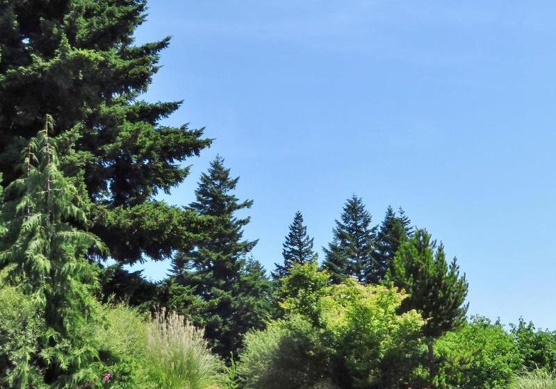 فندق Carson Hot Springs Resort & Spa