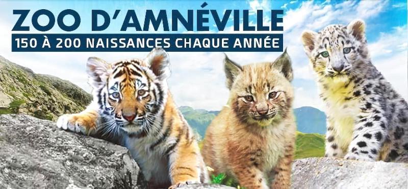 ホテル Enzo Hôtels Diane   Logis Amnéville