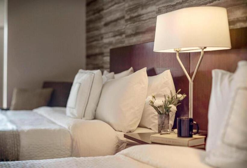 فندق Fairfield By Marriott Waterbury Stowe