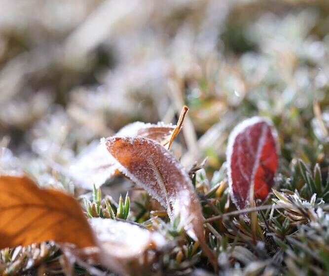 בית מלון כפרי Hanwha Resort Pyeongchang