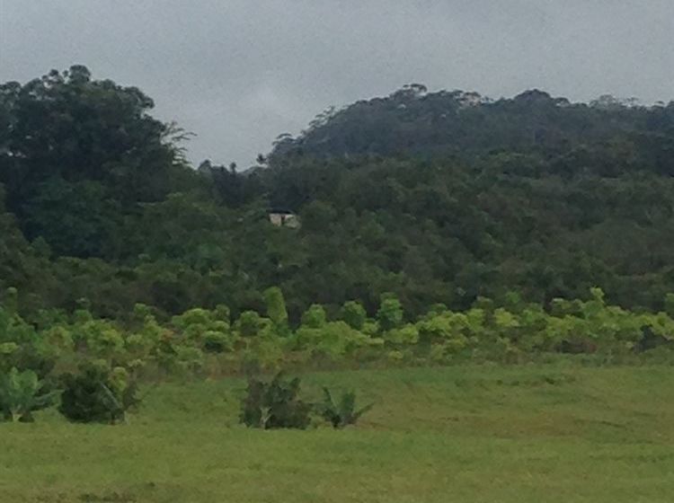 Hawaiian Hideaway At Akaka Falls