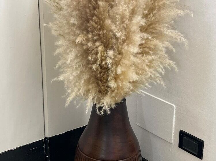 בית מלון כפרי Montecodeno