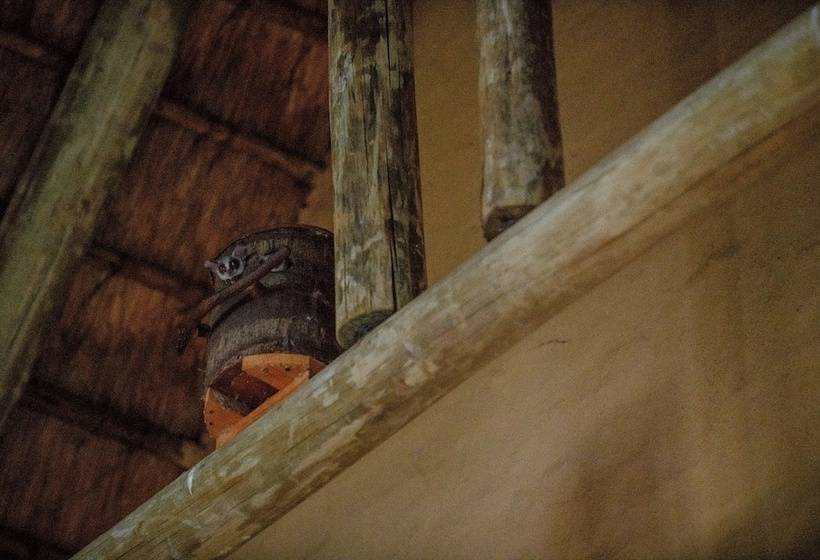 Отель Needles Lodge