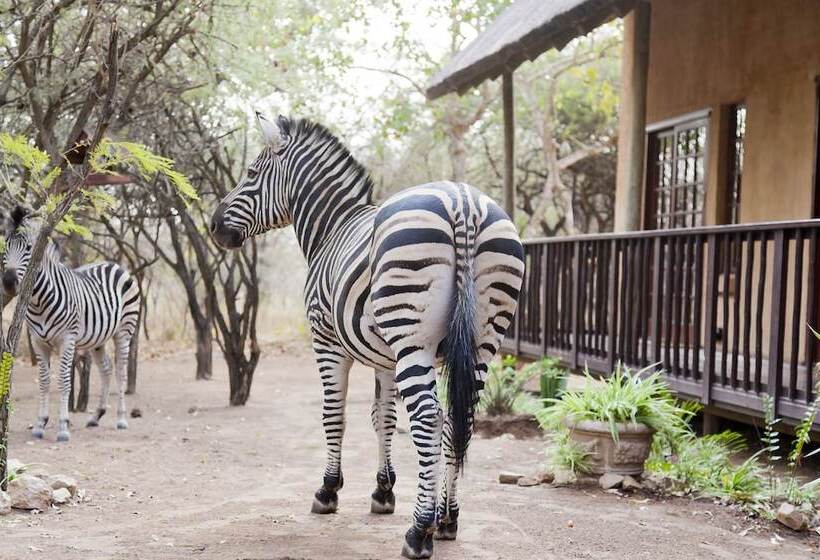 Отель Needles Lodge