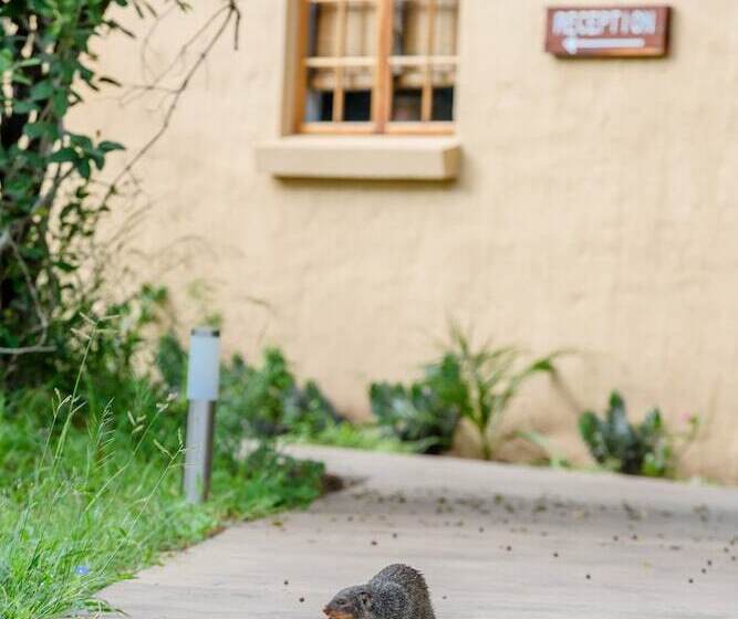 Отель Needles Lodge