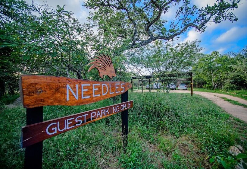 Отель Needles Lodge